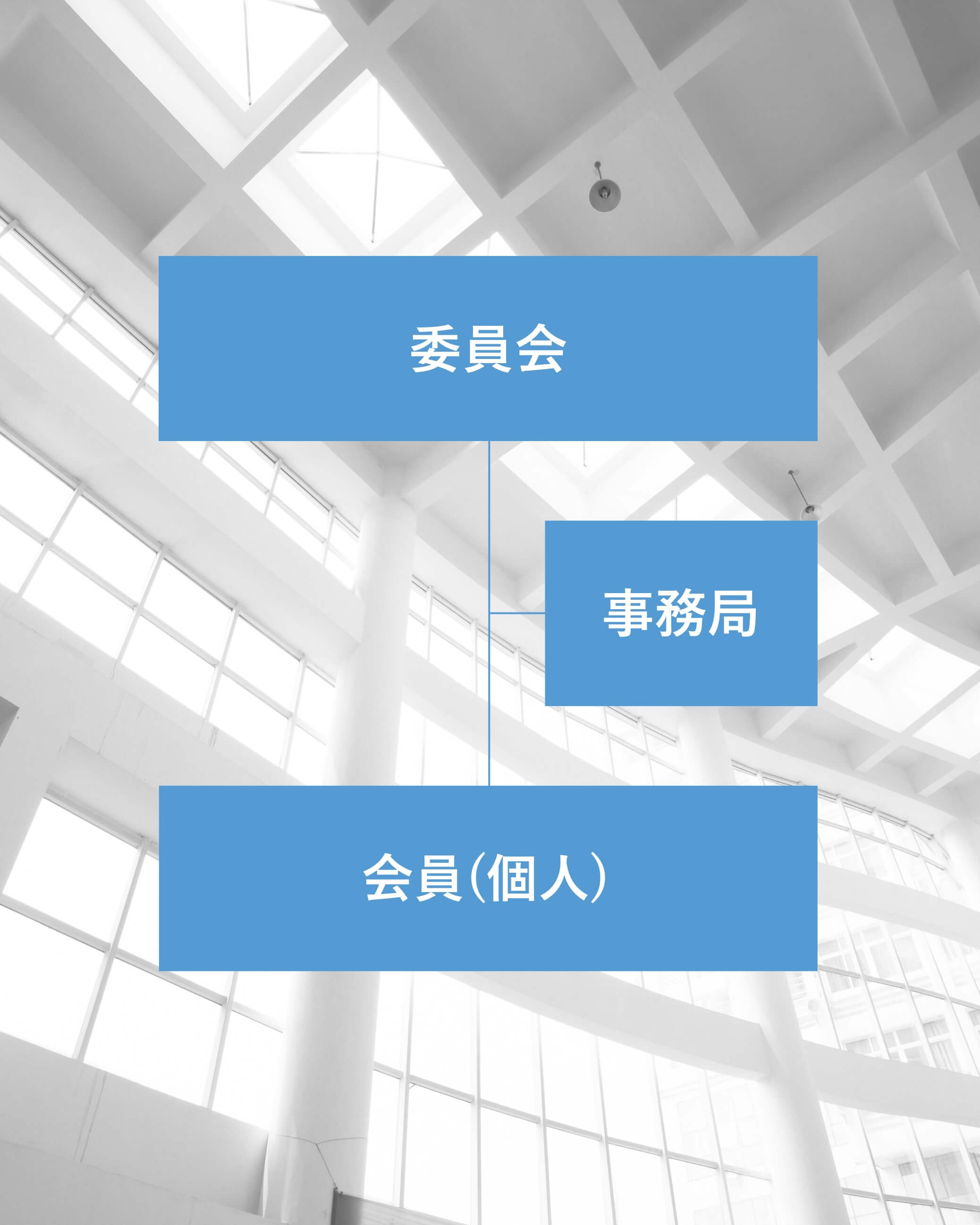 理事会、事務局、会員(個人)